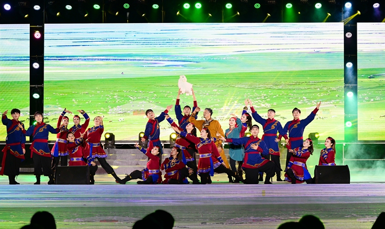 6(4)职工舞蹈《欢乐的乌兰牧骑》.jpg