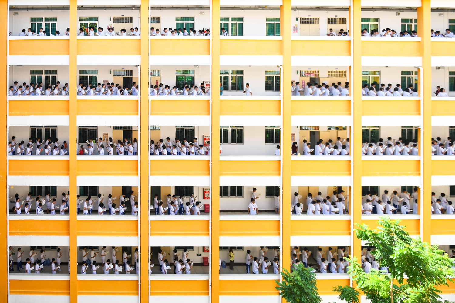 图3：弘毅楼读书声回响.jpg