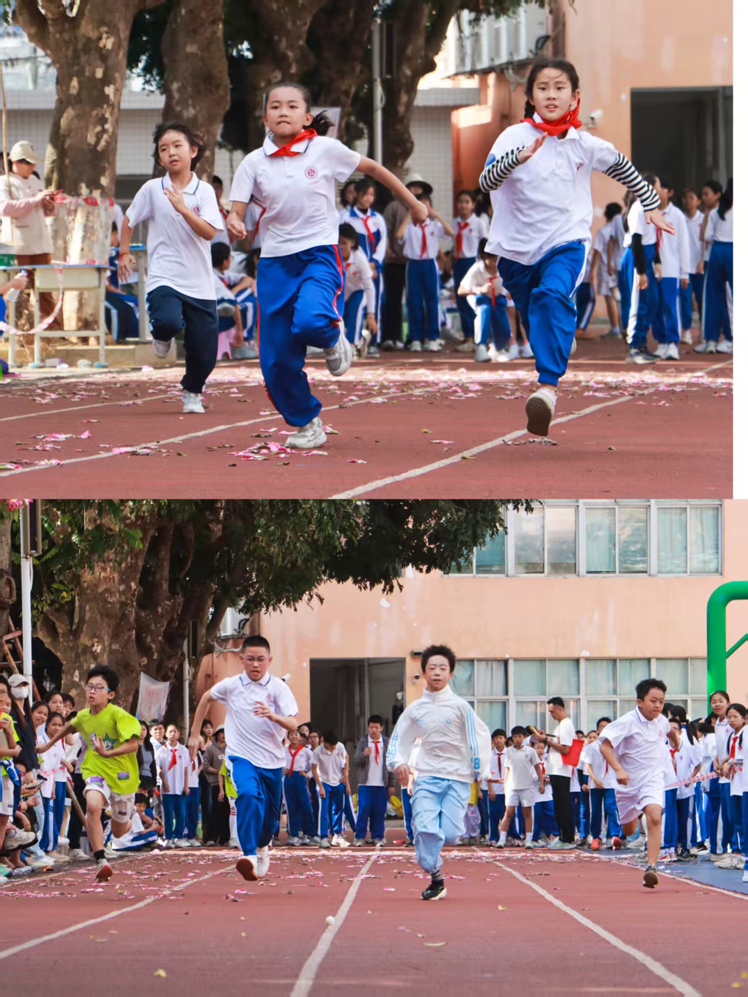 16 小学部比赛剪影4.jpg